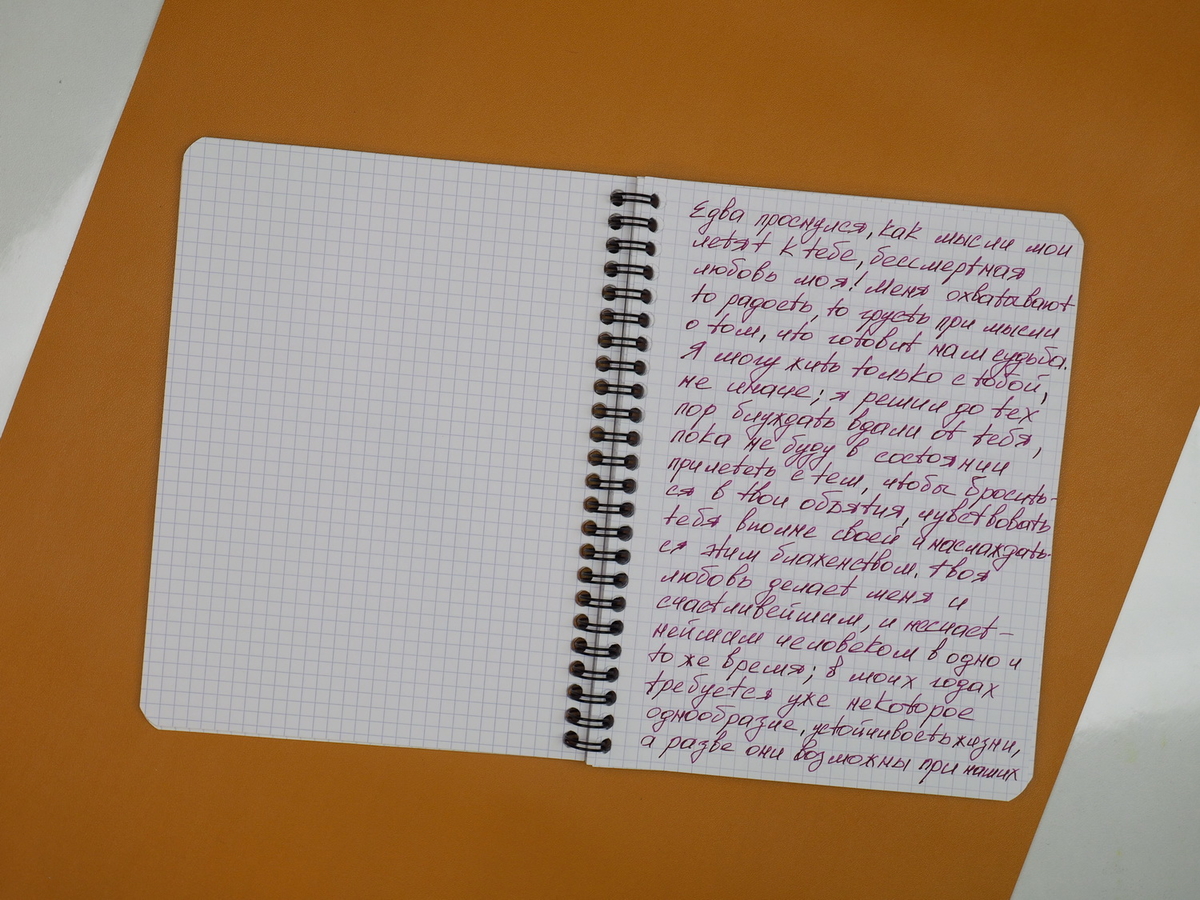 Образец письма в тетради Rhodia Classic, A5, в клетку, 80 г, оранжевая