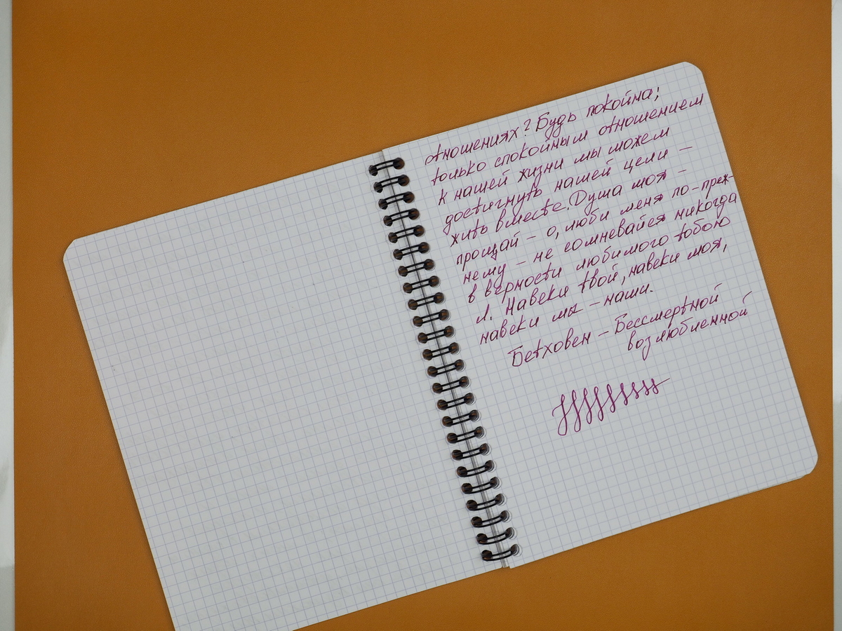 Образец письма в тетради Rhodia Classic, A5, в клетку, 80 г, оранжевая